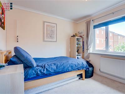 Picture 11